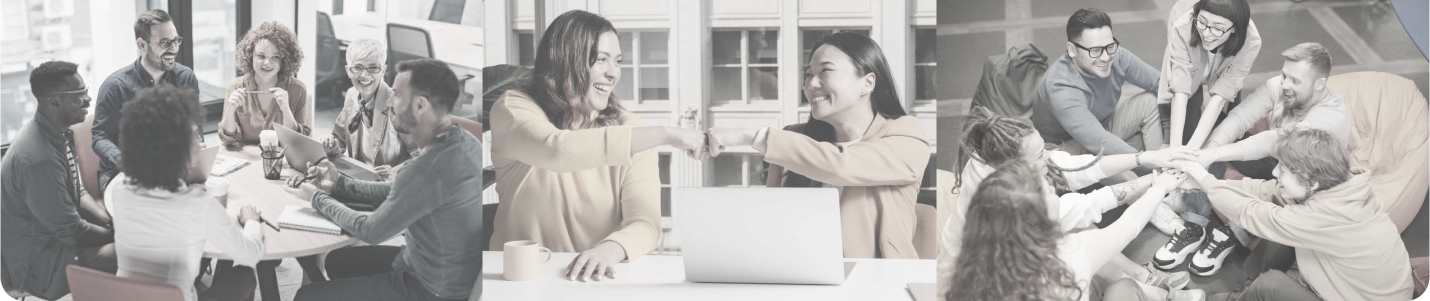 sócio trabalhando em equipe